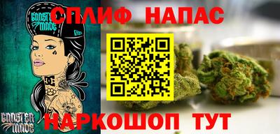 ГАЛЛЮЦИНОГЕННЫЕ ГРИБЫ Кингисепп