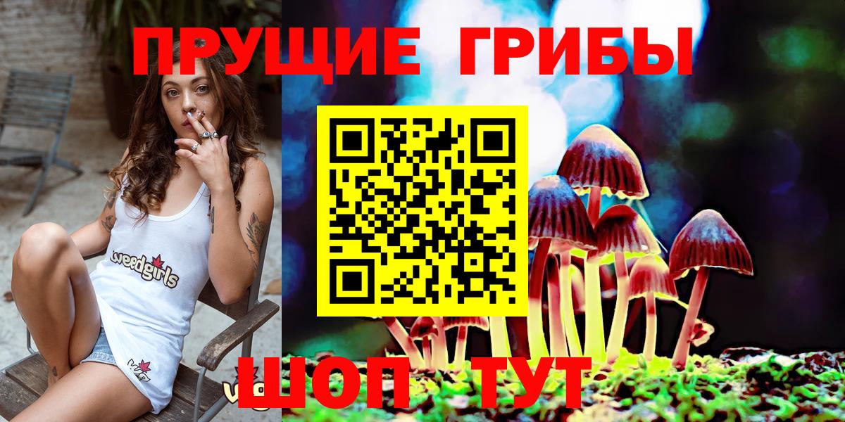 Кузнецк  Галлюциногенные грибы Psilocybe  Псилоцибиновые грибы Cubensis  Вход с VPN 
